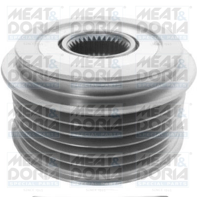 Alternator Freewheel Clutch